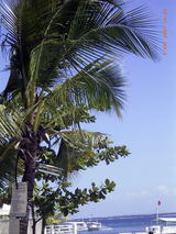 d5a9216e.jpg