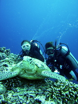 diver with turtle