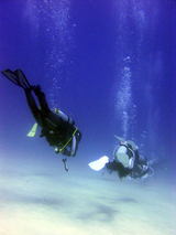 e61140b4.jpg
