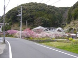 d18a55c4.JPG