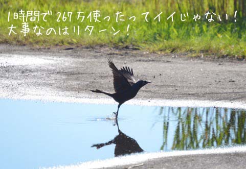 ¾ëÍÛ»Ô¤Îͽ»»