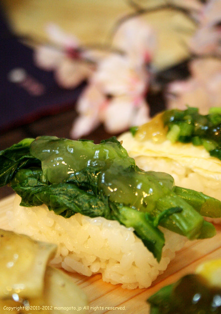blogphoto20120411-11
