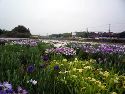 P1270320