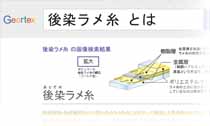 後染とは