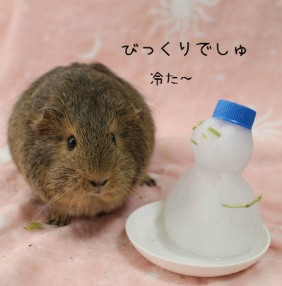 BlogPaint