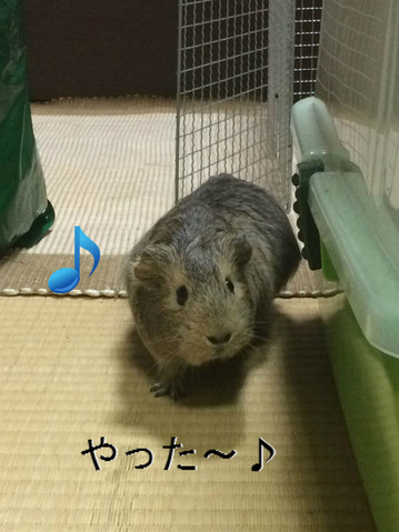 BlogPaint