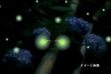 1d35c283.jpg