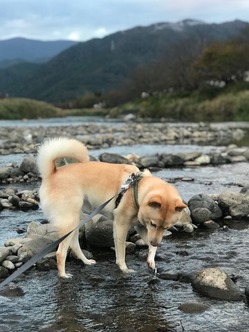 izutaiyo_20181115