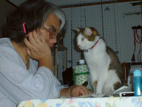 BlogPaint