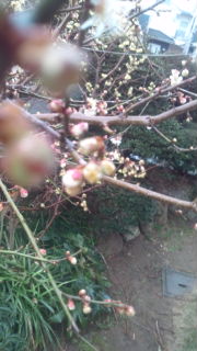 20140204133601