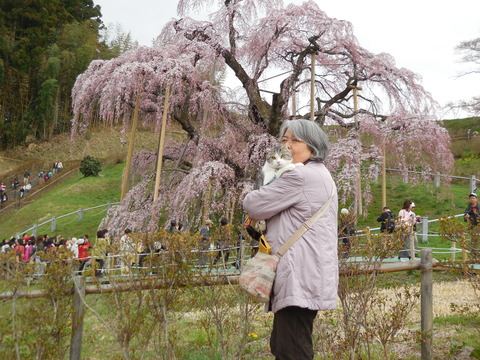 DSCN0648 - コピー