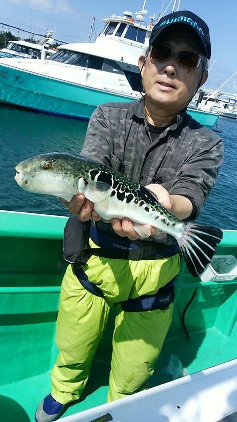 wpid-1505364170002