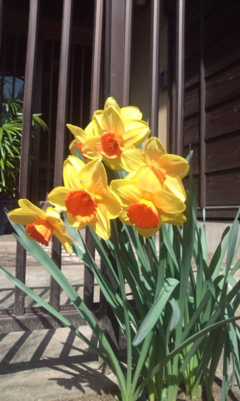 20120401135424
