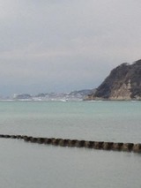 c95d5a5a.jpg