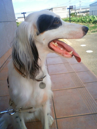 201008111703000