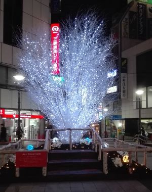 自由が丘駅前のイルミネーション 15年12月 自由が丘ブログ