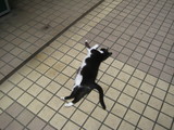 �ΤӤ�ͤ�