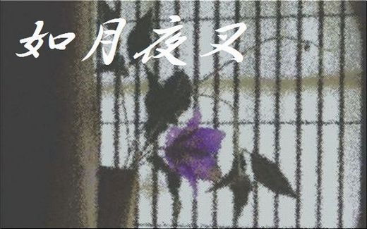 yasya520
