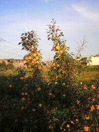2011102316040000