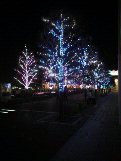 2011110420310000