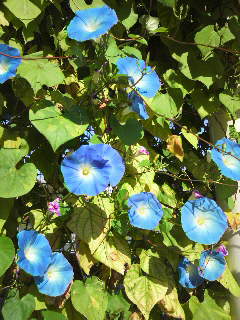 2011102909480001