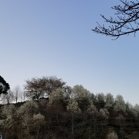 20180314_061922