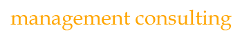 management consulting - �бĥ��󥵥�ƥ���