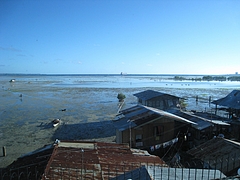 海1