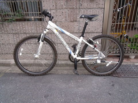 【引き取り限定】GIANT ROCK 4500 Giant rock 4500 clearance