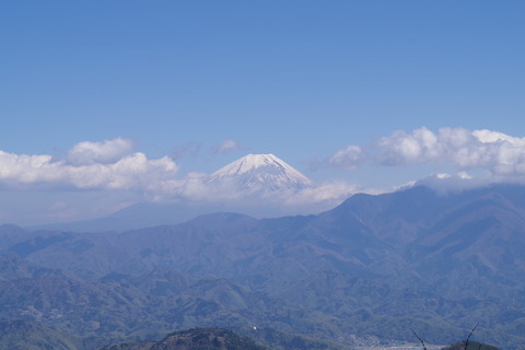 IMGP0572