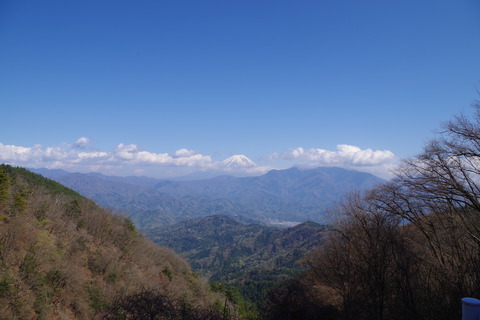 IMGP0576
