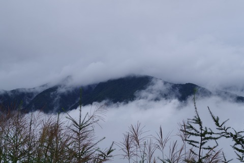 IMGP0421