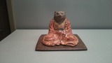 狸