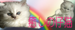 Ìþ¤·¤Î»ÆÇ