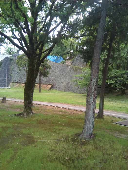kumamotosiro (7)