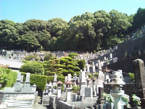 obon (3)