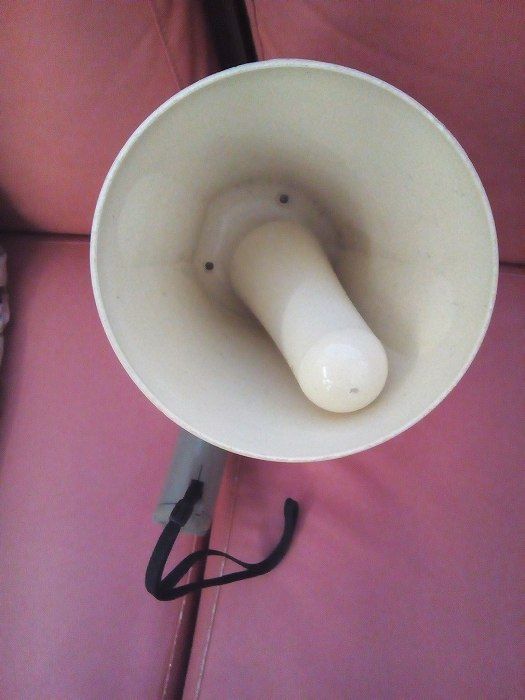 horn (3)