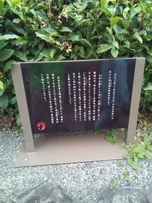 yosimurakota (7)
