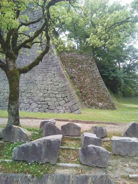 kumamotosiro (10)