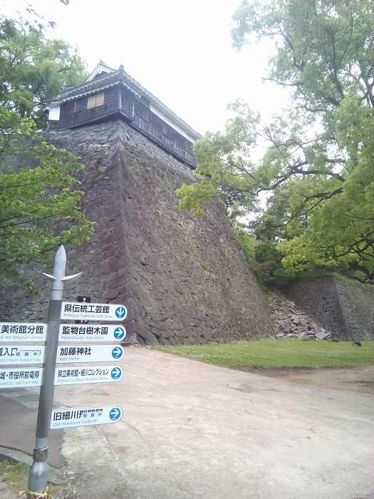kumamotosiro (8)