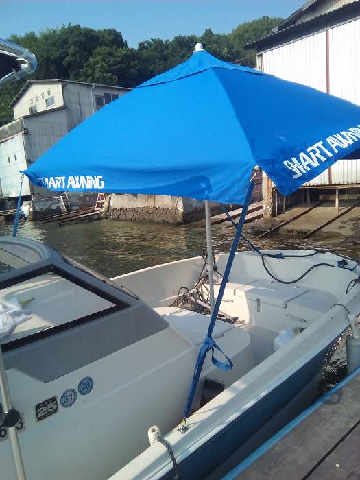 bimini (4)