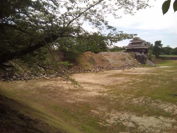 kumamotosiro (15)