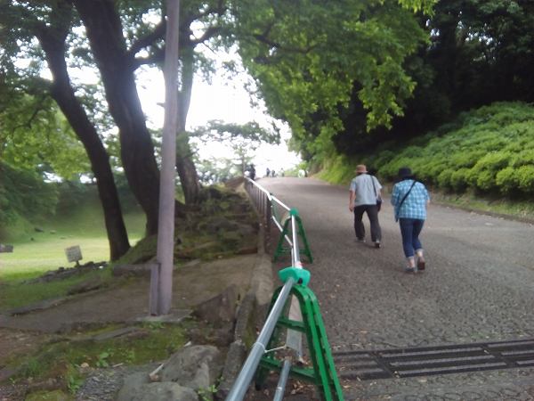 kumamotosiro (13)