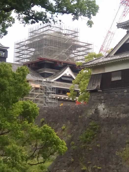 kumamotosiro (19)