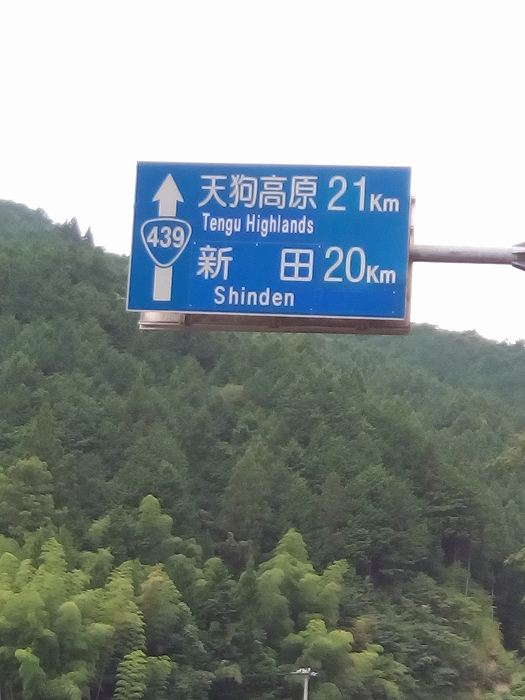 439 (1)