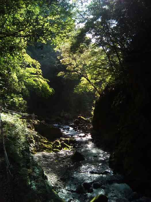 amanoiwato (7)