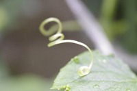 a1220_000026