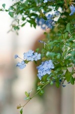 a0001_014797
