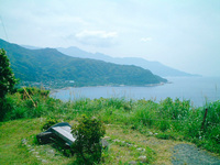 uminohi1