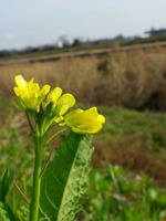 a0960_002499